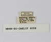 CollectionObject 1588722; 25c8fe51-59f1-487a-9281-6833166cf1fb: labels. (CollectionObject).