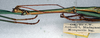 CollectionObject 1559211; ae501d07-96a7-456b-bacb-b49802e42099: copyright NMW. male: head and thorax, lateral view (syntype). (CollectionObject).;CollectionObject 1559212; 1e771717-c82a-417a-b44d-02dc1860b27c: copyright NMW. male: head and thorax, lateral view (syntype). (CollectionObject).