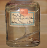 CollectionObject 1557930; 5df97639-fb31-49e4-a32c-f64d66ddcec6: copyright ZMHB, Berlin. male (holotype) [in alcohol]. (CollectionObject).