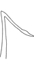 Aedeagus, lateral view on Anzygina dumbletoni (Ghauri, 1963): Aedeagus, lateral view. (Observation).