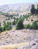 Rhacocleis lithoscirtetes Willemse & Willemse, 2005: habitat (type locality). (Otu).