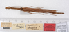 CollectionObject 1562559; 3923069e-3bbd-4f15-8e54-3bc7af5d4b4f: copyright ZMUH, Hamburg. female, dorsal view (syntype). (CollectionObject).