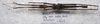 CollectionObject 1584716; f921256f-eb61-4fbc-8bd9-5659a308edd3: copyright MBBJ Bogor. male, dorsal view (paratype). (CollectionObject).