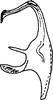 Aedeagus, lateral view: Aedeagus (M. chimera Dwor.), lateral view. (Observation).