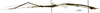 CollectionObject 1563066; 5e5273c8-12a8-4a11-86c6-924cb302fd0a: copyright MNHN, Paris. male, lateral view (holotype). (CollectionObject).