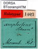 CollectionObject 1500522; 8c756226-0d24-4a79-9394-09e3496f0293: labels (holotype). (CollectionObject).