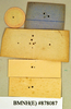 Jagrehnia testacea (Brunner von Wattenwyl, 1865): Holotype, female, labels, reverse. BMNH(E)#878087. (Otu).