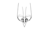 Elysiacris ensicornis Cigliano, 1999: Fig. 193. female subgenital plate. (Otu).