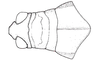 Atrachelacris olivaceus (Bruner, 1911): Fig. 2J. female head and pronotum, dorsal view. (Otu).