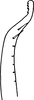 Stylus: !! display not done !! on Alebroides flavifrons Matsumura, 1931: Stylus. (Observation).