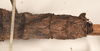CollectionObject 1558452; a237584d-116d-4fb6-96cd-ae54ce1c2027: copyright OUMNH. female: end of abdomen, dorsal view of Dimorphodes mancus (syntype). (CollectionObject).;CollectionObject 1558453; ea906b12-686a-41bd-bb38-664c85261f31: copyright OUMNH. female: end of abdomen, dorsal view of Dimorphodes mancus (syntype). (CollectionObject).