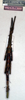 CollectionObject 1559016; NMW 145, 5f8c90e4-1952-4d91-9ee6-612bb1033b0d: copyright NMW, Vienna. female of synonym Donusa glabriuscula (holotype). (CollectionObject).