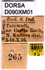 CollectionObject 1505141; 6ed89926-c4d9-4f7d-95cc-4ff3d2c79123, DORSA D090XM01: labels. (CollectionObject).