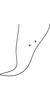 Anal tube processes on Distantasca serratipenis (Qin & Zhang, 2007): Anal tube process. (Observation).