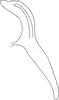 Aedeagus, lateral view on Distantasca tuberculata (Zhang & Liu, 2010): Aedeagus, lateral view. (Observation).