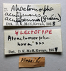 CollectionObject 1506168; a4acfcb6-0bd0-4c38-ad2b-edfe9f5fa7c3: female, labels (neotype). (CollectionObject).