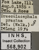 Other on Draeculacephala noveboracensis (Fitch, 1851): Labels. Labels for the specimen used for the dorsal, lateral and face images. (Observation).