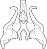Stylus on Brazosa espatula Pinedo-Escatel & Dietrich, 2020: style and connective, dorsal aspect. (Observation).