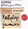 CollectionObject 1537642; c00536cf-ff25-4bca-bbe8-5488de7514ba: labels. (CollectionObject).