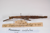 CollectionObject 1559810; b87b6d22-cbb9-4682-9522-e593131d87bb: copyright MNCN, Madrid. male, lateral view of synonym Menexenus cristatus (holotype). (CollectionObject).