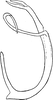 Aedeagus, lateral view on Eurhadina (Singhardina) robusta (Mahmood, 1967): Aedeagus, lateral view (after Mahmud). (Observation).