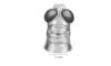Salvadoracris nigritus Matiotti da Costa & Silva Carvalho, 2006: Fig. 1B. head and pronotum, dorsal view. (Otu).