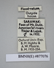 CollectionObject 1573293; 11cd28c1-ebe9-42d2-b22c-0eef6de9968c: Copyright NHM, London. Data labels, female, non-type. (CollectionObject).
