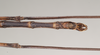 CollectionObject 1558588; b20d032c-9c70-4c15-96d5-4319c2aa3647: copyright Natural History Museum, London. male: end of abdomen, ventral view (holotype). (CollectionObject).