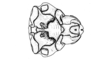 Neuquenina fictor (Rehn, 1943): Fig. 42. phallic complex, dorsal view. (Otu).