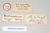 CollectionObject 1557439; NHMUK(SF IMPORT DUPLICATE) 844933, 69b7b286-4b53-43eb-bb86-58d460924cf1: copyright Natural History Museum, London. male, data labels (holotype). (CollectionObject).