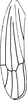 Forewing on Arbelana ulmi (Anufriev, 1969): Forewing (after Anufriev, 1969). (Observation).
