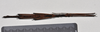 CollectionObject 1558576; NTUC 709 and barcoded specimens, 93d36653-c881-422a-9af7-b37747fc2d15: copyright NTUC. male, dorsal view of Entoria miyakoensis (syntype). (CollectionObject).