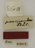CollectionObject 1529782; e6e9efe8-86bf-4b39-b878-b7bec5229d88: labels (holotype). (CollectionObject).