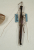 CollectionObject 1560322; 1c5ca752-aba2-4780-9573-d4ae7c863888: copyright NMW, Vienna. male (paralectotype). (CollectionObject).;CollectionObject 1560323; f7f870e9-bf49-4e23-9221-6927e7eaf20f: copyright NMW, Vienna. male (paralectotype). (CollectionObject).