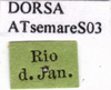 CollectionObject 1538356; f60f7c76-69ac-45a3-a969-9883c60bc254: labels. (CollectionObject).