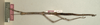 CollectionObject 1557030; 8e3173ef-6d4c-413a-8625-a2c21ce2e3d7, NMW 796: copyright NMW, Vienna. female of synonym Bostra godmani (paralectotype). (CollectionObject).