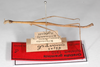 CollectionObject 1563545; 0d1ac188-f02d-45c5-8a87-321a121be81d: copyright ZMHB, Berlin. male, lateral view (syntype). (CollectionObject).