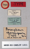 CollectionObject 1540702; 7f5b9f55-a81b-4d9a-b0c1-35a59ae3548f: labels (holotype). (CollectionObject).