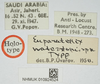 CollectionObject 1477079; 1d644ca1-d986-4e85-a877-098332da6b14, NHMUK010924524: female (holotype), labels. (CollectionObject).