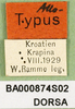 CollectionObject 1501997; 2fd1c630-c9fb-4cf0-9229-81cecb3bf6f8: labels (allotype). (CollectionObject).
