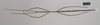 CollectionObject 1563479; NHMUK(SF IMPORT DUPLICATE) 845013, a98e78f0-0d25-4a81-bc07-04271a0eca8b: copyright Natural History Museum, London. female (holotype). (CollectionObject).