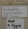 CollectionObject 1535904; bfbf330f-6025-47b1-a31c-a7273169fd67: labels. (CollectionObject).
