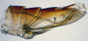 Pygofer, lateral view: (Observation).