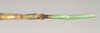 CollectionObject 1562092; NHMUK(SF IMPORT DUPLICATE) 845100, c1e5a84b-0435-42a1-8e65-93af3da2f3fd: copyright Natural History Museum, London. female: end of abdomen, ventral view (paratype). (CollectionObject).