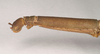 CollectionObject 1561002; NHMUK(SF IMPORT DUPLICATE) 844708, 4b5dcd0b-d6da-4636-882a-4c48ef5d5038: copyright Natural History Museum, London. female: head and thorax, lateral view of Phasma graniferum (holotype). (CollectionObject).