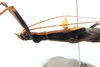 CollectionObject 1581376; 59bc794b-232e-463a-8ac0-005b3ce961cc: copyright MZSP. female: head & thorax, lateral view. (CollectionObject).;CollectionObject 1581377; d45c686c-a707-4895-a1dc-935a9f403e39: copyright MZSP. female: head & thorax, lateral view. (CollectionObject).;CollectionObject 1581378; 7170e432-3969-4793-b5be-5351c968f6f2: copyright MZSP. female: head & thorax, lateral view. (CollectionObject).