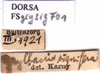 CollectionObject 1578133; d9260838-946f-4f33-bd21-57ff6da936e3: labels. (CollectionObject).