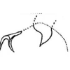 Anal tube processes on Empoasca (Empoasca) armara Langlitz, 1964: Anal tube process. (Observation).