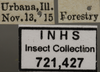 Other: !! display not done !! on Dikraneura (Dikraneura) angustata Ball & DeLong, 1925: Labels. Labels for the specimen used for the dorsal, lateral and face images. (Observation).