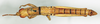 CollectionObject 1540560; 15150f73-2b48-4509-a8ae-78cbdcec4a5d: male, dorsal view (lectotype). (CollectionObject).